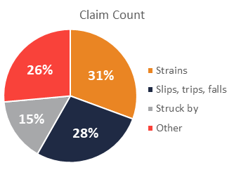 2018 Causes of Workplace Injury (Claim Count)